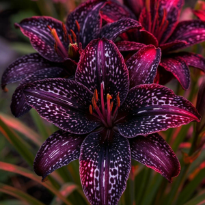 Лилейник Вояж купить по цене от 699р. в интернет-магазине «Посадика» с доставкой почтой в в Каменск-Уральскийе и по всей России – [изображение №1].